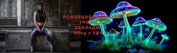PSILOCYBIN Дмитров