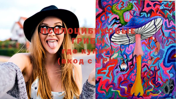 PSILOCYBIN Дмитров
