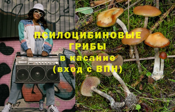 винт Дмитриев