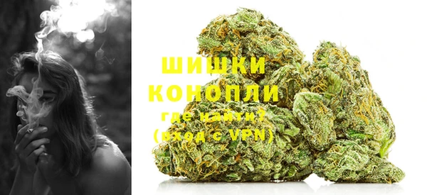 винт Дмитриев